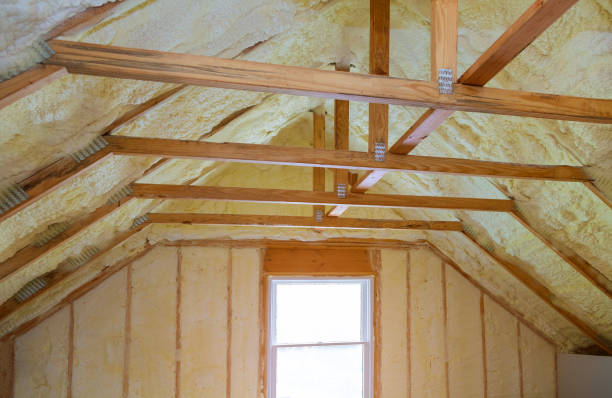 Best Eco-Friendly Insulation in Makawao, HI