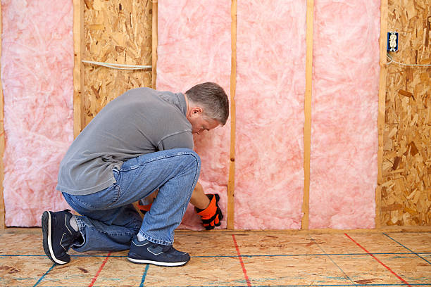 Best Geographic-Specific Insulation Services in Makawao, HI