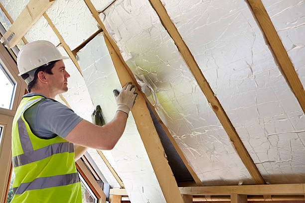 Best Residential Insulation in Makawao, HI